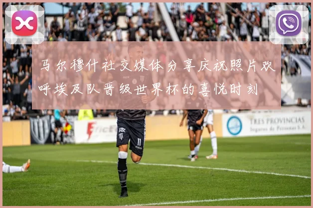 马尔穆什社交媒体分享庆祝照片欢呼埃及队晋级世界杯的喜悦时刻