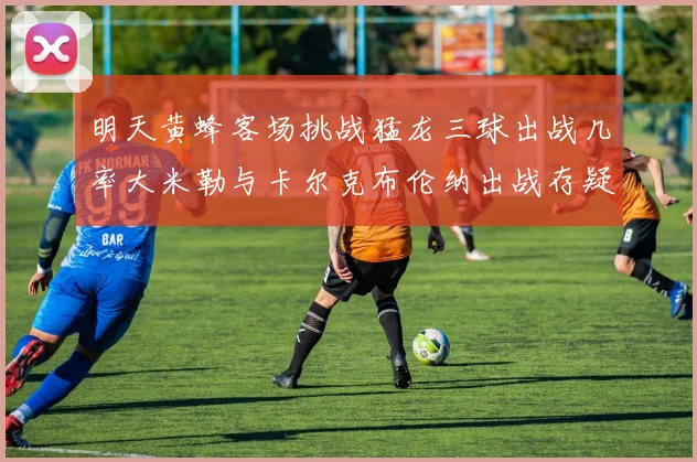 明天黄蜂客场挑战猛龙三球出战几率大米勒与卡尔克布伦纳出战存疑