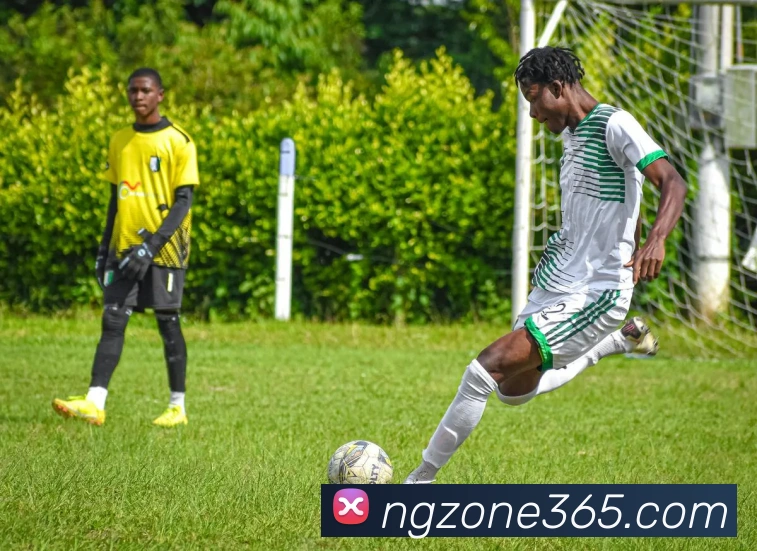 NG娱乐发展历程